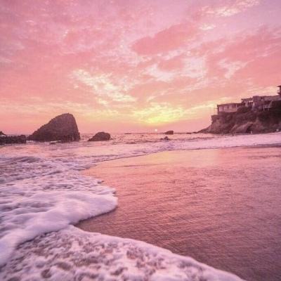 万博手机版max网页版(中国)官方网站app下载