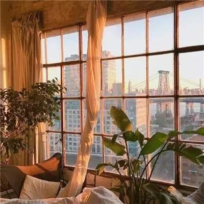 开云网kaiyun下载手机版截图