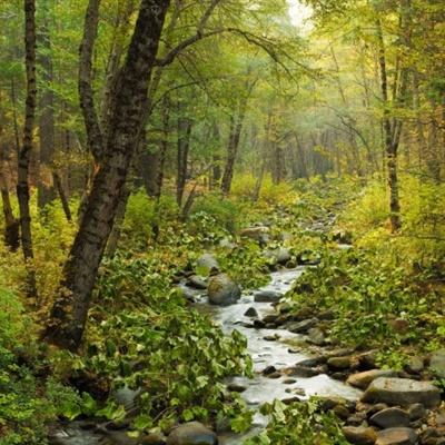 大发彩票官方官方平台app手机app下载