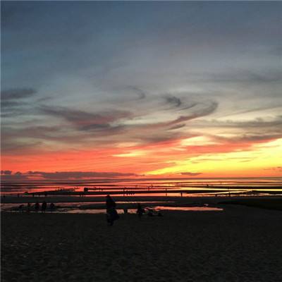 万博max体育官网