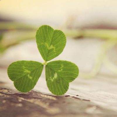 pg娱乐电子游戏官网官方入口