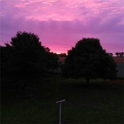 火狐电竞手机app下载